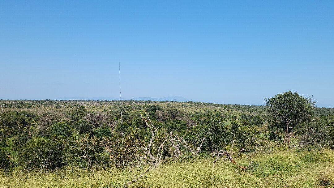 Ecosystem view of landscape.