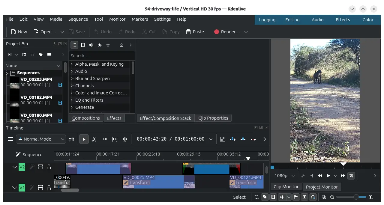 KDENLIVE screen capture.