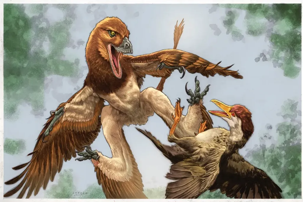This Strange, Feathered Dinosaur May Have Glided Between Trees Like a Flying Squirrel to Hunt Birds 120 Million Years Ago